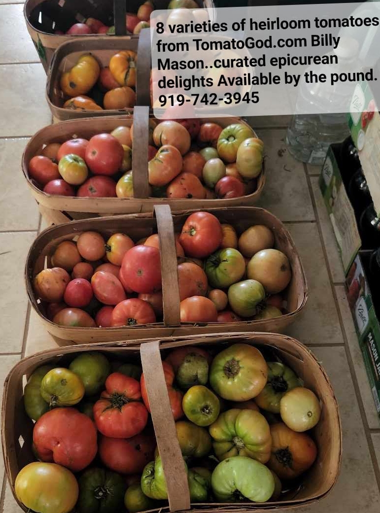 heirloom tomatoes for sale Pittsboro NC 